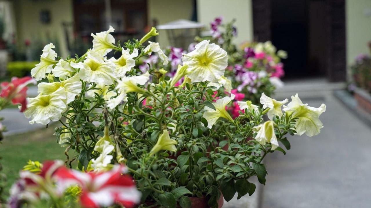 Kathmandu Garden Home Экстерьер фото